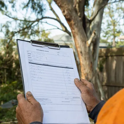 Reading a written tree removal quote on site in Hobart