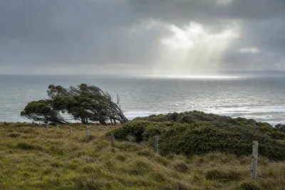 Westerly wind exposure, Hobart