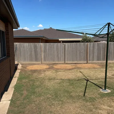 After: Heritage elm crown work in North Hobart, Hobart