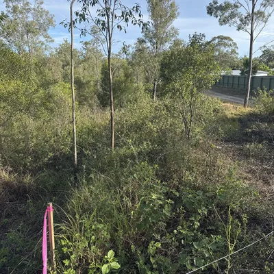 Before: Block clearing ahead of a build permit, Hobart