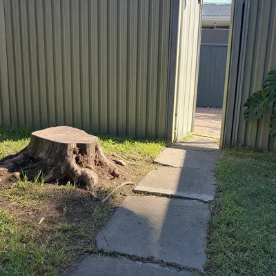 Before: Stump grind through a narrow side gate in Battery Point, Hobart
