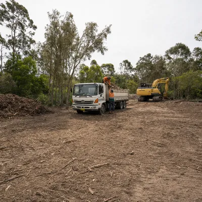 Land Clearing in Hobart, qualified arborists