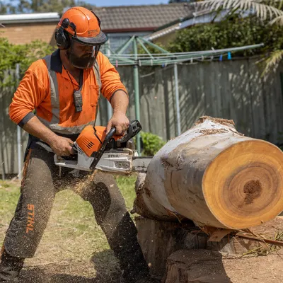 Tree Removal services in Hobart by local qualified arborists