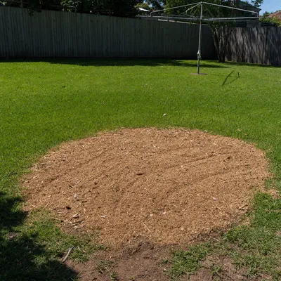 Chips and mulch on the spot, Hobart