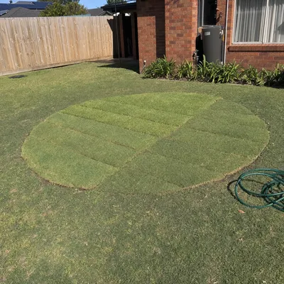 Stump ground 150–300mm below grade, Hobart